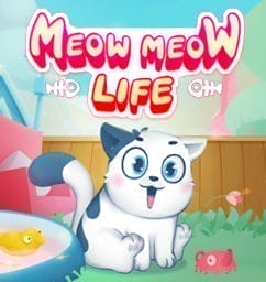 Meow Meow Life